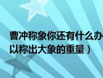 曹冲称象你还有什么办法称大象（曹冲称象还有什么办法可以称出大象的重量）