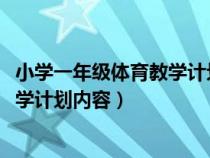 小学一年级体育教学计划2020第一学期（小学一年级体育教学计划内容）