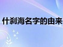 什刹海名字的由来（海涛名字的寓意是什么）