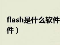 flash是什么软件可以卸载吗（flash是什么软件）