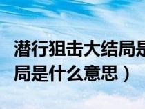 潜行狙击大结局是什么意思呀（潜行狙击大结局是什么意思）