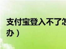 支付宝登入不了怎么办（支付宝登陆不了怎么办）