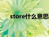 store什么意思英语（store什么意思）