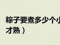 粽子要煮多少个小时才熟（粽子一般要煮多久才熟）