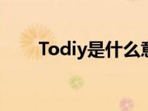 Todiy是什么意思（diy是什么意思）