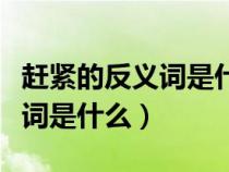 赶紧的反义词是什么二年级下册（赶紧的反义词是什么）