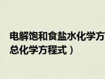 电解饱和食盐水化学方程式及离子方程式（电解饱和食盐水总化学方程式）