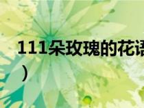 111朵玫瑰的花语（111朵玫瑰代表什么意思）