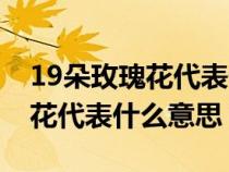 19朵玫瑰花代表什么意思啊英语（19朵玫瑰花代表什么意思）