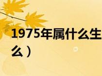 1975年属什么生肖属相属什么（1975年属什么）