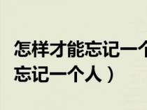 怎样才能忘记一个人我不想再想了（怎样才能忘记一个人）