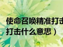 使命召唤精准打击什么意思呀（使命召唤精准打击什么意思）