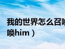 我的世界怎么召唤him视频（我的世界怎么召唤him）