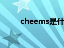 cheems是什么梗（ms是什么梗）