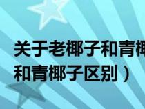 关于老椰子和青椰子区别的说法（关于老椰子和青椰子区别）