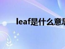 leaf是什么意思（leave是什么意思）