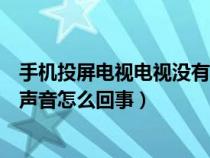 手机投屏电视电视没有声音是怎么回事（手机投屏电视没有声音怎么回事）