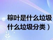 粽叶是什么垃圾 原来一直扔错了（粽叶属于什么垃圾分类）