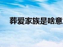 葬爱家族是啥意思（葬爱家族什么意思）