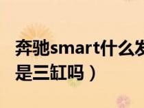 奔驰smart什么发动机（奔驰smart的发动机是三缸吗）