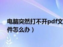 电脑突然打不开pdf文件怎么办（电脑打不开pdf格式的文件怎么办）