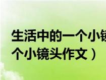 生活中的一个小镜头作文600字（生活中的一个小镜头作文）