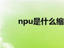 npu是什么缩写（npu是什么意思）