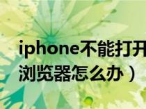 iphone不能打开浏览器（苹果手机不能打开浏览器怎么办）