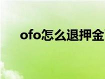 ofo怎么退押金更快（ofo怎么退押金）