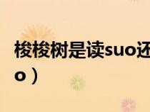 梭梭树是读suo还是jun（梭梭树读jun还是suo）