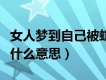 女人梦到自己被蛇咬（女人梦见自己被蛇咬是什么意思）