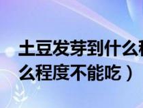 土豆发芽到什么程度不能吃?（土豆发芽到什么程度不能吃）