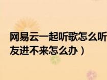 网易云一起听歌怎么听不到对方声音（网易云音乐一起听好友进不来怎么办）