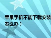 苹果手机不能下载安装软件怎么办（苹果手机不能下载软件怎么办）