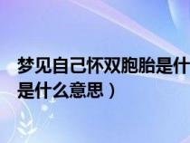 梦见自己怀双胞胎是什么意思周公解梦（梦见自己怀双胞胎是什么意思）