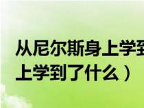 从尼尔斯身上学到了什么300字（从尼尔斯身上学到了什么）