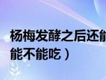 杨梅发酵之后还能不能吃了（杨梅发酵之后还能不能吃）