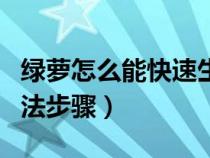 绿萝怎么能快速生长（绿萝快速生长的快速方法步骤）