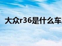 大众r36是什么车型号（大众r36是什么车）