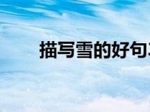 描写雪的好句30字（描写雪的好句）