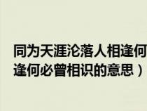 同为天涯沦落人相逢何必曾相识的意思（同是天涯沦落人相逢何必曾相识的意思）