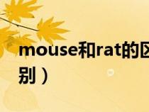 mouse和rat的区别图片（mouse和rat的区别）