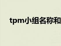 tpm小组名称和口号（小组名称和口号）