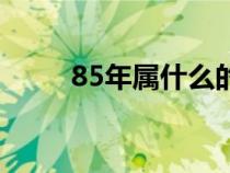 85年属什么的命（85年属什么的）