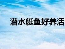 潜水艇鱼好养活嘛（潜水艇鱼该怎么养）