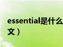 essential是什么意思（essential什么意思中文）