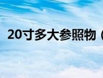 20寸多大参照物（20寸拉杆箱多大长宽高）