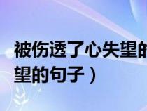 被伤透了心失望的句子文言文（被伤透了心失望的句子）