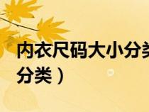 内衣尺码大小分类abc哪个大（内衣尺码大小分类）