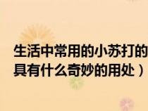 生活中常用的小苏打的主要成分是什么（日常生活中小苏打具有什么奇妙的用处）